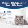 Blue Buffalo Tastefuls Chicken & Brown Rice Recipe Dry Cat Food for Kittens 2–12 Months, Real Chicken First, Deliciously Healthy Natural Kitten Food with DHA, Taurine, and Natural Ingredients, 3.1kg 🍁 All In One Marketplace Canada
