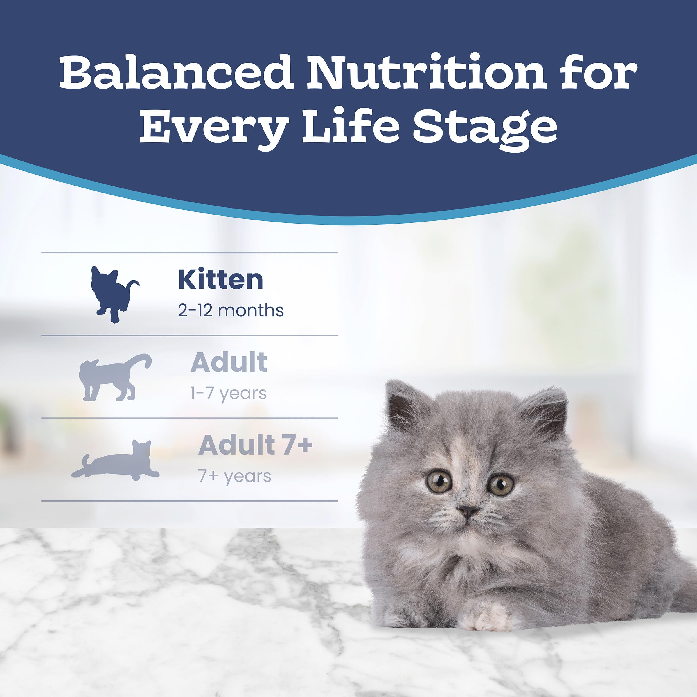 Blue Buffalo Tastefuls Chicken & Brown Rice Recipe Dry Cat Food for Kittens 2–12 Months, Real Chicken First, Deliciously Healthy Natural Kitten Food with DHA, Taurine, and Natural Ingredients, 3.1kg 🍁 All In One Marketplace Canada