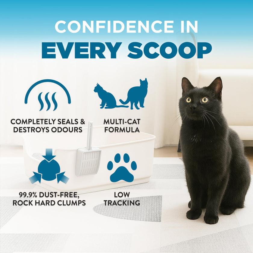 Arm & Hammer Clump & Seal Cloud Control Clay Cat Litter, Multi-Cat, 12.7kg, 7 Days of Odour Control, Dust Free, Clumping Litter (Pack of 1) 🍁 All In One Marketplace Canada