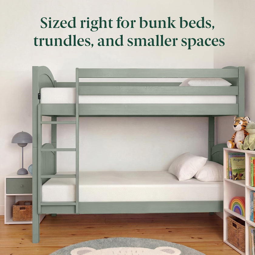 Zinus Twin Mattress - 6 Inch Green Tea Infused Memory Foam Mattress, Mattress in a Box, CertiPUR-US Certified Foam with Pressure Relief, 10-Year Warranty, Twin Size 🍁 All In One Marketplace Canada