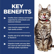 Hill's Science Diet Senior 7+ Indoor Chicken Recipe Dry Cat Food 1.58 kg Bag 🍁 All In One Marketplace Canada