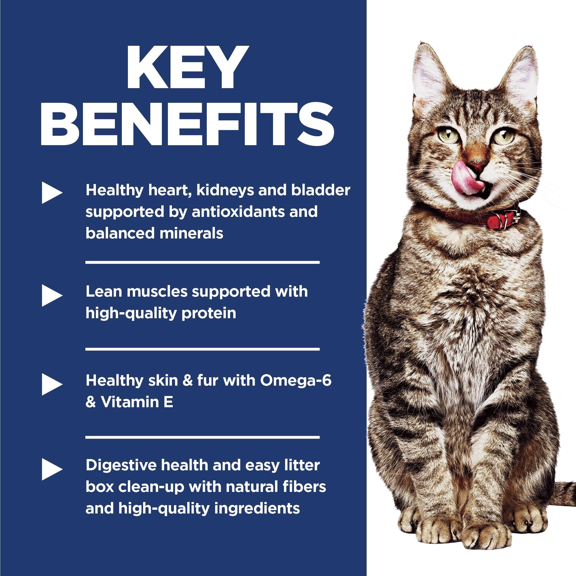 Hill's Science Diet Senior 7+ Indoor Chicken Recipe Dry Cat Food 1.58 kg Bag 🍁 All In One Marketplace Canada