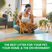 Fresh News Cat Litter, 25 Pounds, Beige 🍁 All In One Marketplace Canada