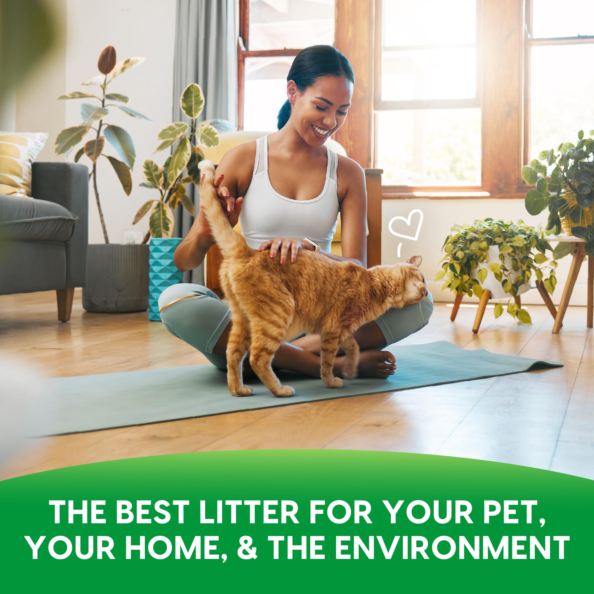 Fresh News Cat Litter, 25 Pounds, Beige 🍁 All In One Marketplace Canada