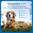 INVISIBLE FENCE Brand Power Cap Batteries for Microlite and Microlite Plus Computer Collar Units – 2-Pack – Also Compatible for MaxDog and MaxDog Plus Invisible Fence Dog Collars 🍁 All In One Marketplace Canada