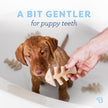 Benebone Puppy 4-Pack Dog Chew Toys for Gentle Chewers, Dog Bones, Small 🍁 All In One Marketplace Canada