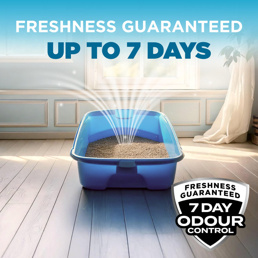 ARM & Hammer Cloud Control Clumping Cat Litter, Multi Cat, 6.35kg – 7 Day Odour Control, 99.9% Dust Free, Hypoallergenic Light Scent 🍁 All In One Marketplace Canada