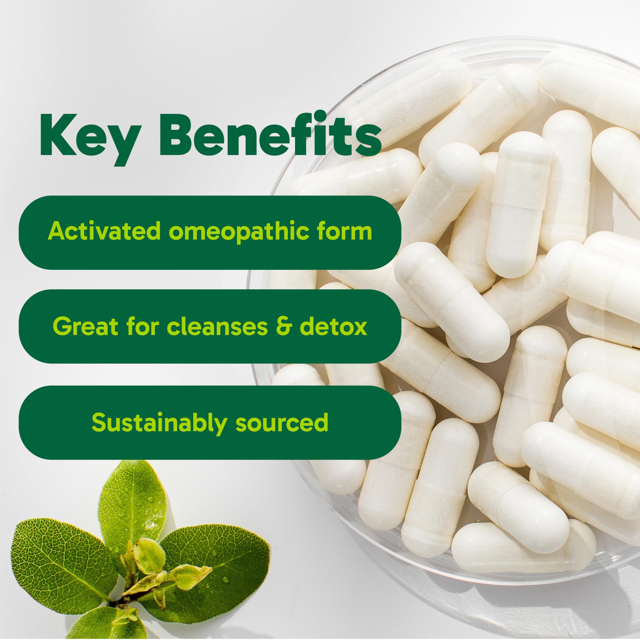 Organika Canadian-Made Activated Charcoal - Homeopathic Charcoal, Digestive Support, Detox, Gas and Bloating Support- 90vcaps 🍁 All In One Marketplace Canada