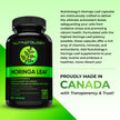 Nutratology® Organic Moringa Leaf Capsules | 1200MG Per Serving | Canadian-Made | Provides Powerful Antioxidants - Protects Against Cell Damage, Supports Liver Detox & Gut Health - 120 Caps 🍁 All In One Marketplace Canada