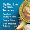GERBER Cereal Wheat with Yogourt & Apple Pear Banana, Cereal, 8+ Months, 227 g, 6 Pack - Packaging May Vary 🍁 All In One Marketplace Canada