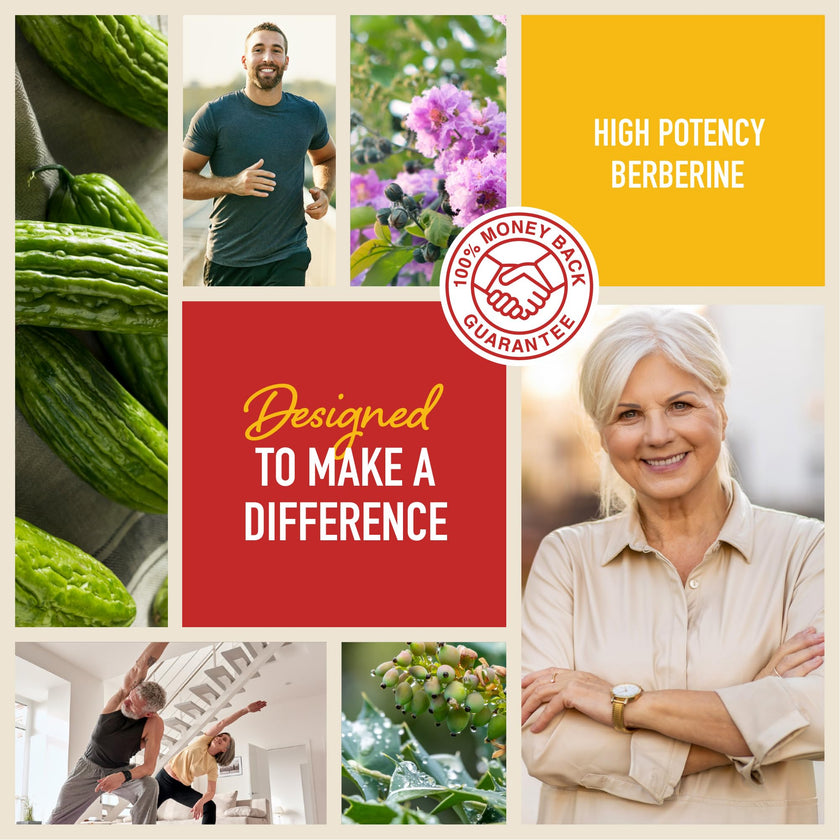 Berberine HCL Supplement | 1000mg | High Potency | Support Glucose Metabolism & Cardiovascular Health | 500mg Per Capsule | With Bitter Melon | Non-GMO, Third-Party Tested | 90 Ct. (45-Day Supply) 🍁 All In One Marketplace Canada