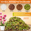 Riare 2L Orchid Potting Mix for Repotting- Orchids Repotting Kit Include Moss, Pine Bark, Perlite, Coco Peat- Premium Orchid Soil Medium for Indoor Potted Plants Root Ventilation & Expanding 🍁 All In One Marketplace Canada