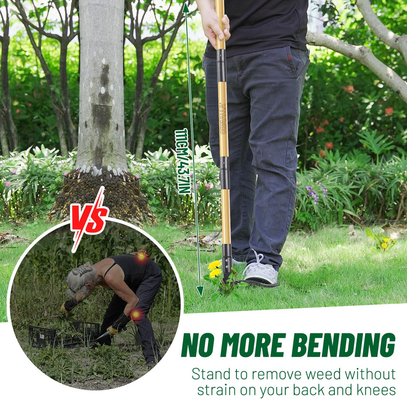 ORMALLA Weed Puller, 43.7in Long Handle Weed Remover, Dandelion Removal Tool, Natural Bamboo Handle and 4 Claws, Stand Up Garden Weed Root Remover, Pet Friendly (43.7in) 🍁 All In One Marketplace Canada