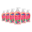 Softsoap Hydrating Liquid Hand Soap Pump - Watermelon & Mint Hand Wash, Natural Paraben Free & Biodegradable Cleaning Ingredients for Moisturized & Clean Hands- Convenient Refill Size, 332 ml, 6 Pack 🍁 All In One Marketplace Canada