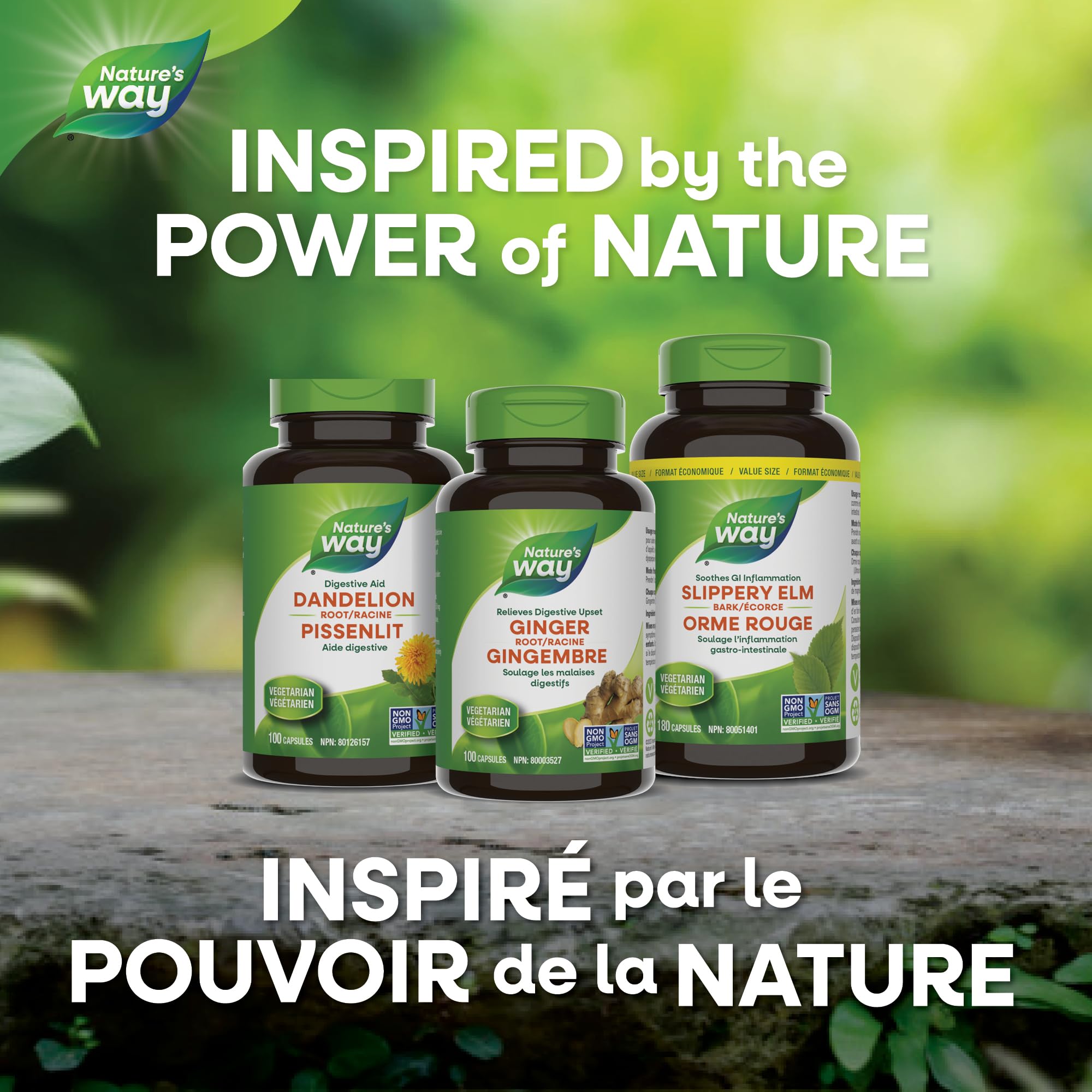 Nature’s Way Slippery Elm Bark – Traditionally Used to Soothe GI Tract Inflammation – Vegetarian, Non-GMO– 180 Capsules 🍁 All In One Marketplace Canada