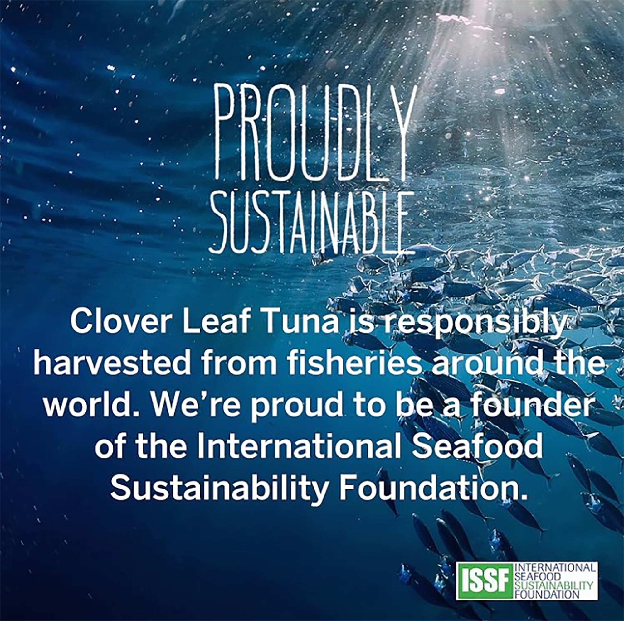Clover Leaf Tomato & Onion Flavoured Tuna, 85g, 24 Count 🍁 All In One Marketplace Canada