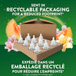 Air Wick Plug In Scented Oil Air Freshener Refills for Home – Infused with Essential Oils – 10 Count – Summer Delight Scent – Mega Value Pack 🍁 All In One Marketplace Canada