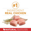 Purina ONE Dry Dog Food, Microbiome Balance with Chicken & Rice 7kg 🍁 All In One Marketplace Canada