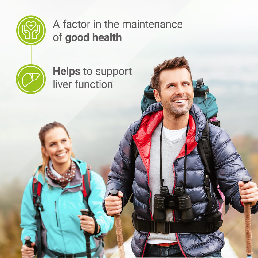 Nested Naturals Choline Bitartrate 500mg Per 2 Capsules | High Potency Choline Supplements | Supports Cognitive & Liver Function | 100% Vegan & Non-GMO Choline | 90 Vegan Capsules 🍁 All In One Marketplace Canada