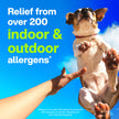 Claritin Allergy Medicine, 24-Hour Non-Drowsy Relief 10 mg, 50 Tablets 🍁 All In One Marketplace Canada