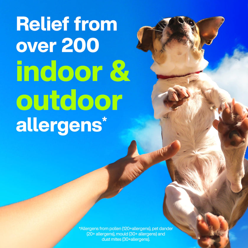 Claritin Allergy Medicine, 24-Hour Non-Drowsy Relief 10 mg, 20 Tablets 🍁 All In One Marketplace Canada
