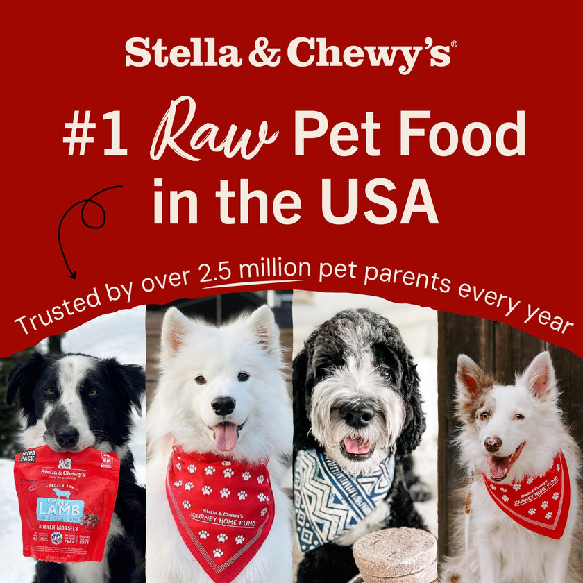 Stella & Chewy’s Freeze Dried Raw Dinner Patties – Grain Free Dog Food, Protein Rich Stella’s Super Beef Recipe – 156g Bag 🍁 All In One Marketplace Canada