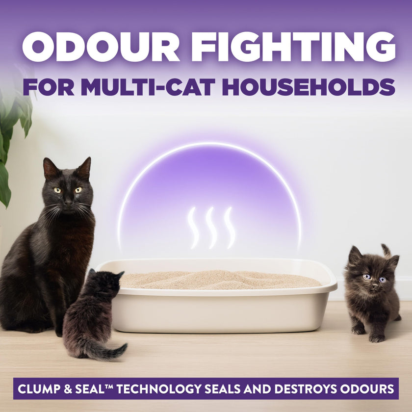 Arm & Hammer Slide Clumping Cat Litter, Multi-Cat Clay, Effortless Clean, 7-Day Odour Control, Dust-Free, Low-Tracking, Rock-Hard Clumps, Baking Soda Power, 12.7 kg 🍁 All In One Marketplace Canada