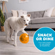 Outward Hound Snoop Dog Toy – Treat‑Dispenser Puzzle Ball, Interactive Slow Feeder, Medium to Large Dogs, Bouncy & Mint-Infused, Orange, 5
