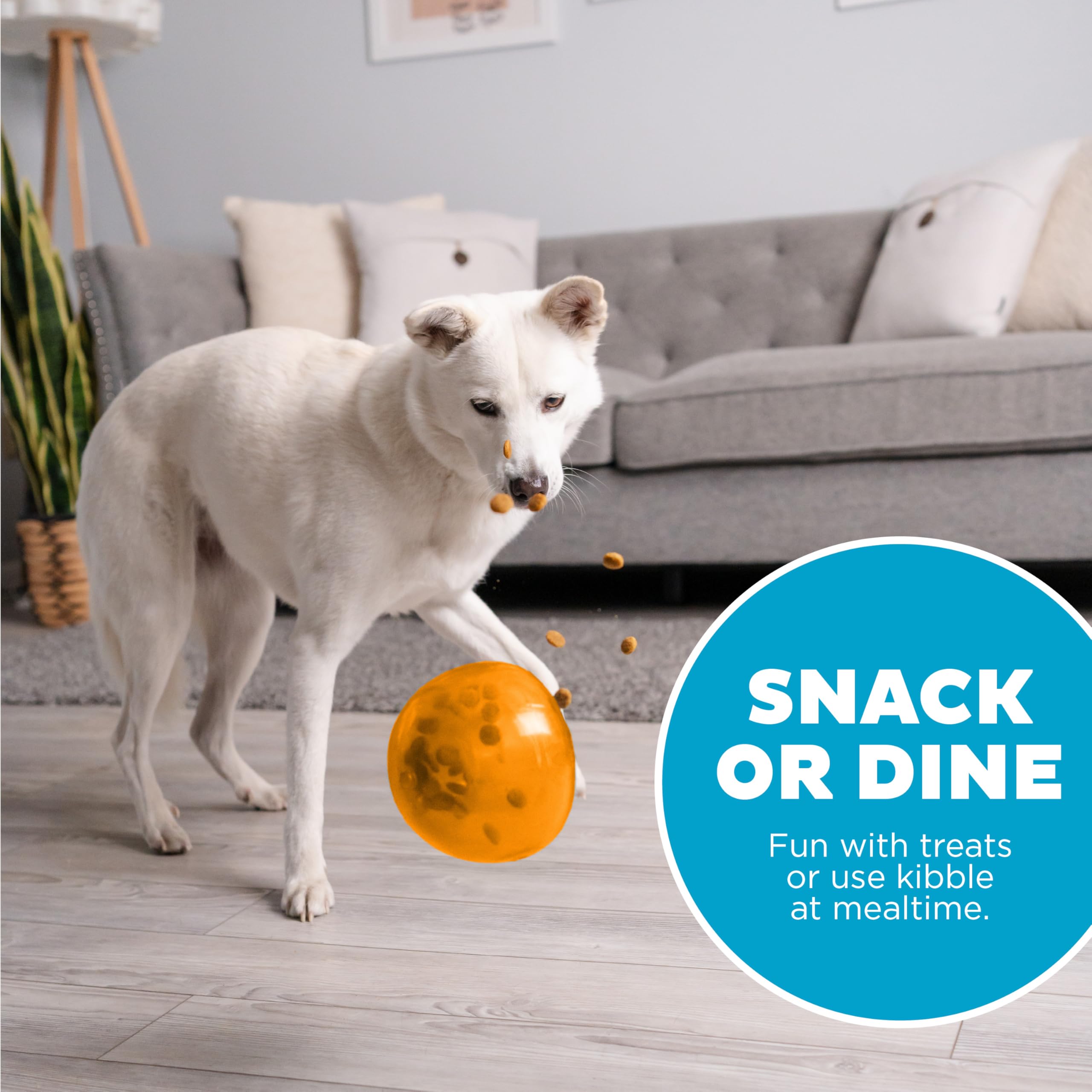 Outward Hound Snoop Dog Toy – Treat‑Dispenser Puzzle Ball, Interactive Slow Feeder, Medium to Large Dogs, Bouncy & Mint-Infused, Orange, 5