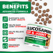 Glucosamine for Dogs - 170 Chews - Hip and Joint Supplement for Dogs - Glucosamine Chondroitin Chews - Joint Pain Relief Supplement with MSM - Advanced Health - Mobility Support - Made in USA 🍁 All In One Marketplace Canada