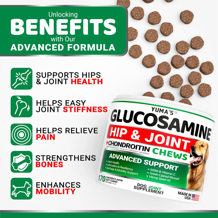 Glucosamine for Dogs - 170 Chews - Hip and Joint Supplement for Dogs - Glucosamine Chondroitin Chews - Joint Pain Relief Supplement with MSM - Advanced Health - Mobility Support - Made in USA 🍁 All In One Marketplace Canada