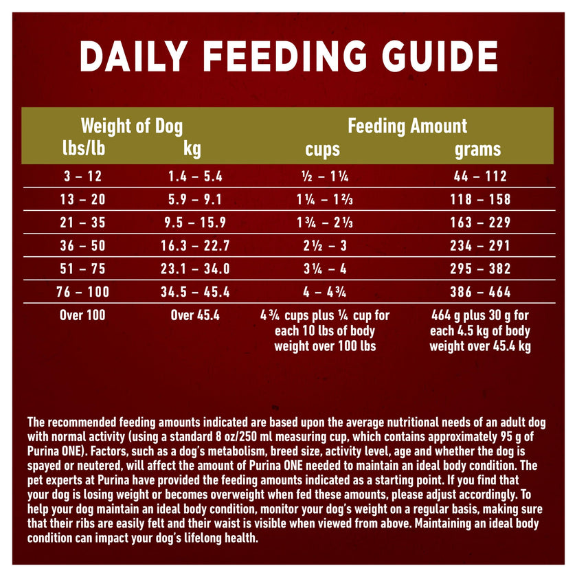 Purina ONE Dry Dog Food, Microbiome Balance with Lamb & Rice 3.63kg 🍁 All In One Marketplace Canada