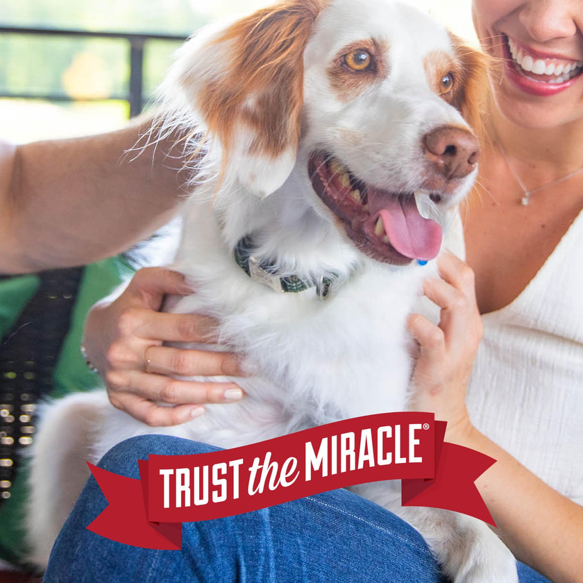 Nature's Miracle Advanced Stain & Odor Remover - 128Oz Pour 🍁 All In One Marketplace Canada