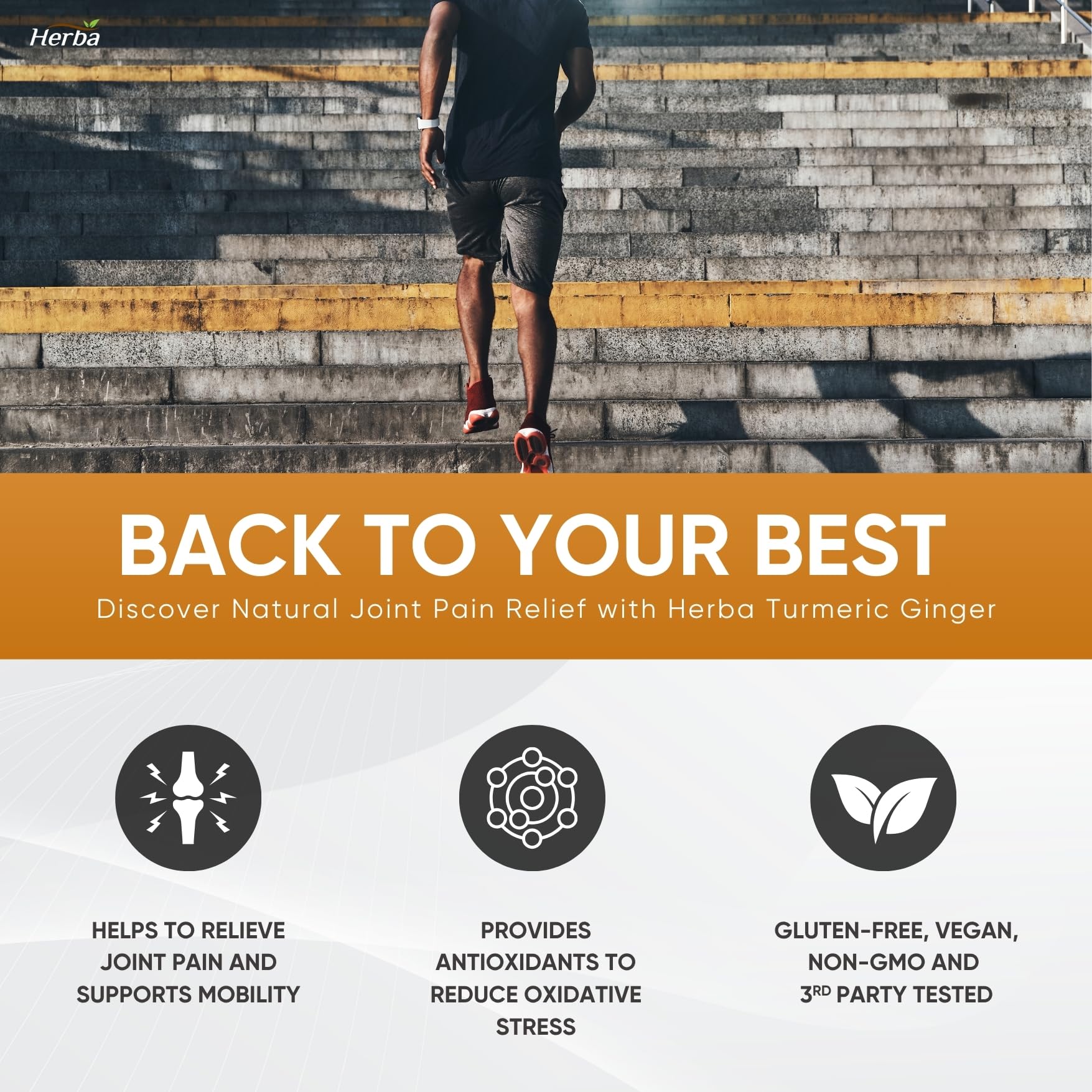 Herba Turmeric Supplements for Inflammation with Black Pepper and Ginger - 180 Capsules | 5,555mg Equiv. with 95% Turmeric Curcumin Supplements with Black Pepper | Joint Pain Relief | Made in Canada 🍁 All In One Marketplace Canada