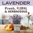Mrs. Meyer's Clean Day Liquid Hand Soap, Cruelty Free & Biodegradable Hand Wash Formula Made with Essential Oils, Lavender Scent, 370 ml Bottles, 4 Pack 🍁 All In One Marketplace Canada