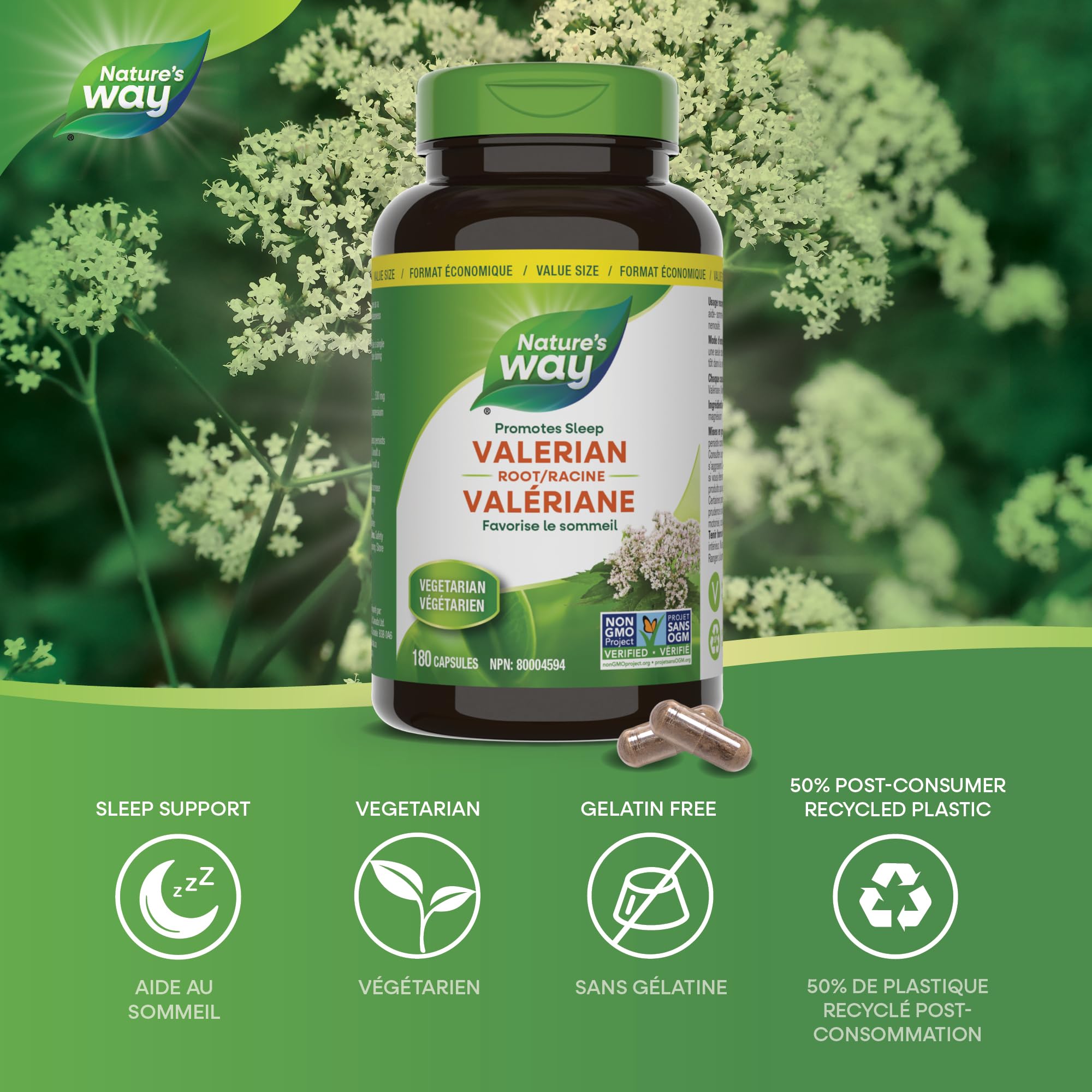 Nature's Way Valerian Root, Sleep Aid to Help Promote Sleep, Value Size, 180 Vegetarian Capsules 🍁 All In One Marketplace Canada