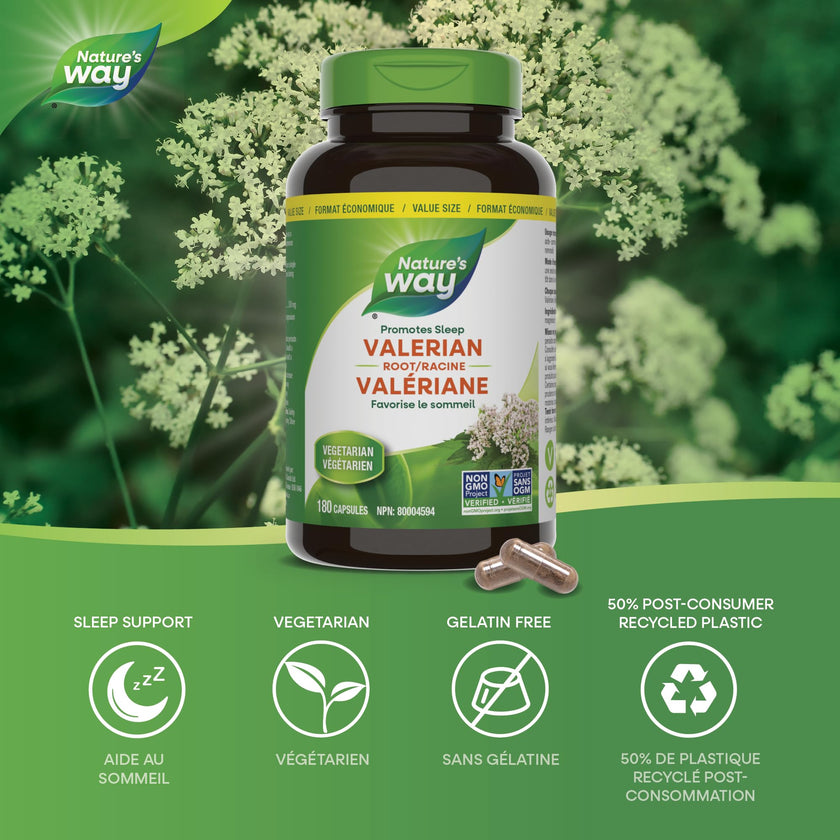 Nature's Way Valerian Root, Sleep Aid to Help Promote Sleep, Value Size, 180 Vegetarian Capsules 🍁 All In One Marketplace Canada