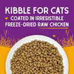 Stella & Chewy’s Raw Coated Premium Kibble Cat Food – Grain Free, Protein Rich Meals – Cage-Free Chicken Recipe – 1.13 kilograms 🍁 All In One Marketplace Canada