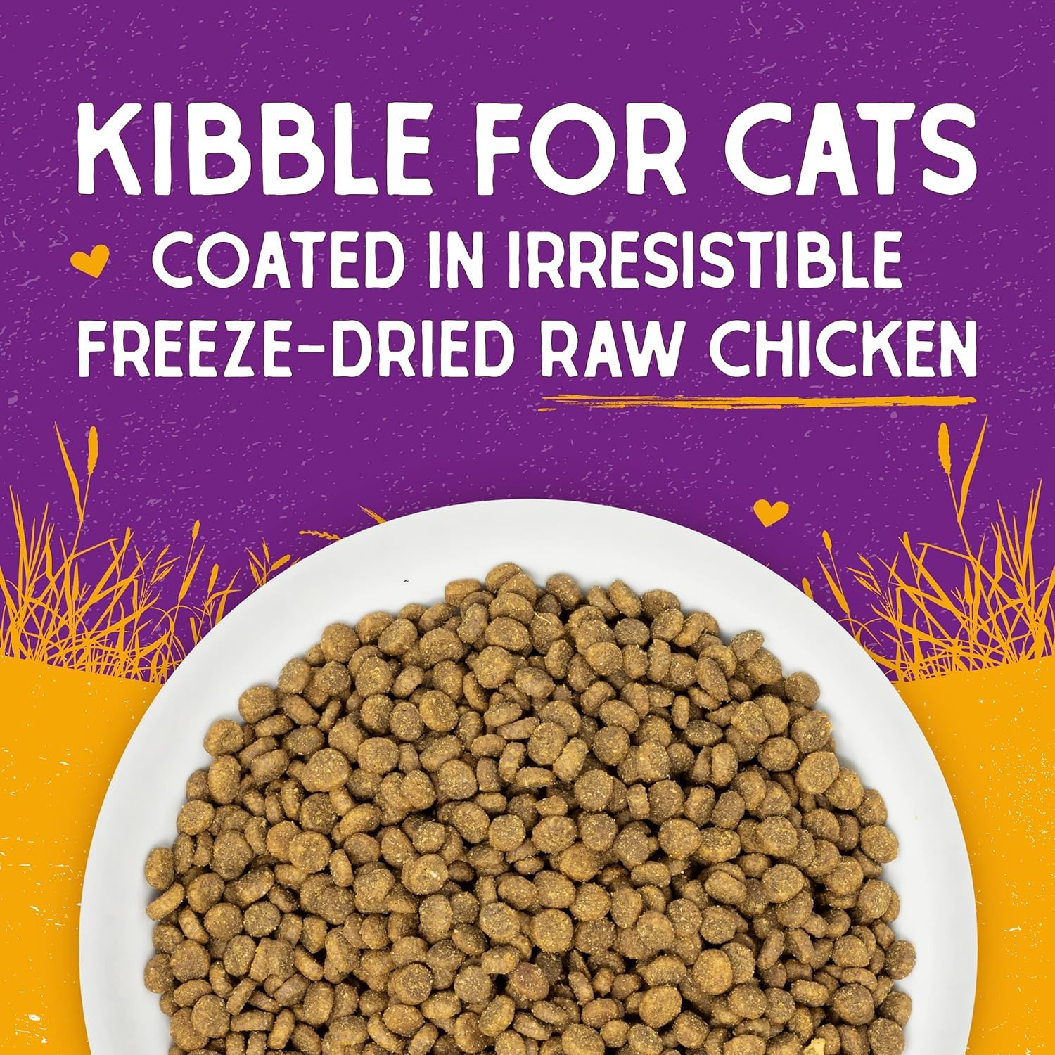 Stella & Chewy’s Raw Coated Premium Kibble Cat Food – Grain Free, Protein Rich Meals – Cage-Free Chicken Recipe – 1.13 kilograms 🍁 All In One Marketplace Canada