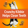 Friskies Party Mix Cat Treats, Original Crunch Chicken 510g (3 Pack) 🍁 All In One Marketplace Canada
