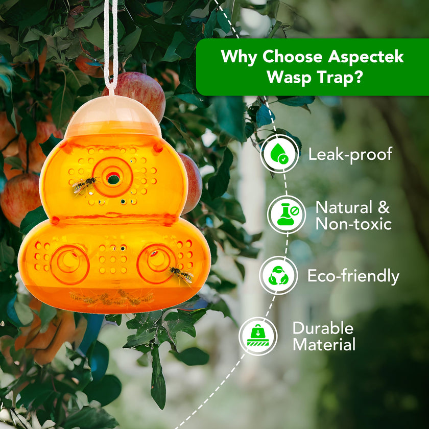 Aspectek Yellow Wasp Trap, 2 Pack, Outdoor Hanging Hornet, Yellow Jacket and Fly Catcher for Yard and Patio, Reusable, Easy Fill, Leak-Proof, Protect Garden, Patio, BBQ, Apple, Pear Trees, Berries 🍁 All In One Marketplace Canada