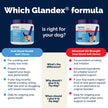 Glandex Anal Gland Soft Chew Treats with Pumpkin for Dogs Chews with Digestive Enzymes, Probiotics Fiber Supplement for Dogs – Vet Recommended - Boot The Scoot (Peanut Butter, 120ct Chews) 🍁 All In One Marketplace Canada