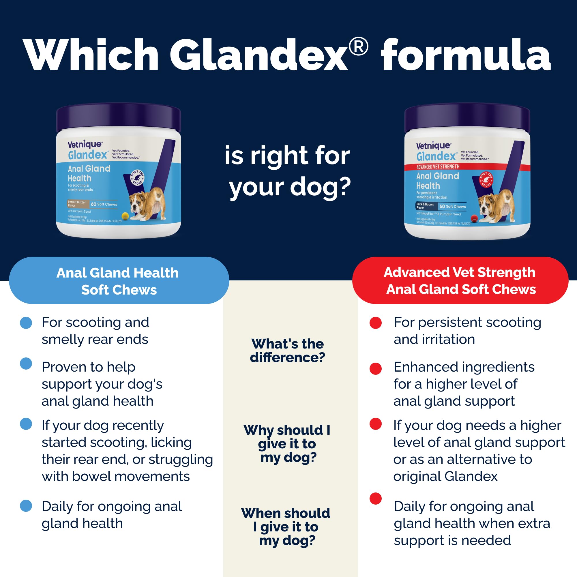 Glandex Anal Gland Soft Chew Treats with Pumpkin for Dogs Chews with Digestive Enzymes, Probiotics Fiber Supplement for Dogs – Vet Recommended - Boot The Scoot (Peanut Butter, 120ct Chews) 🍁 All In One Marketplace Canada
