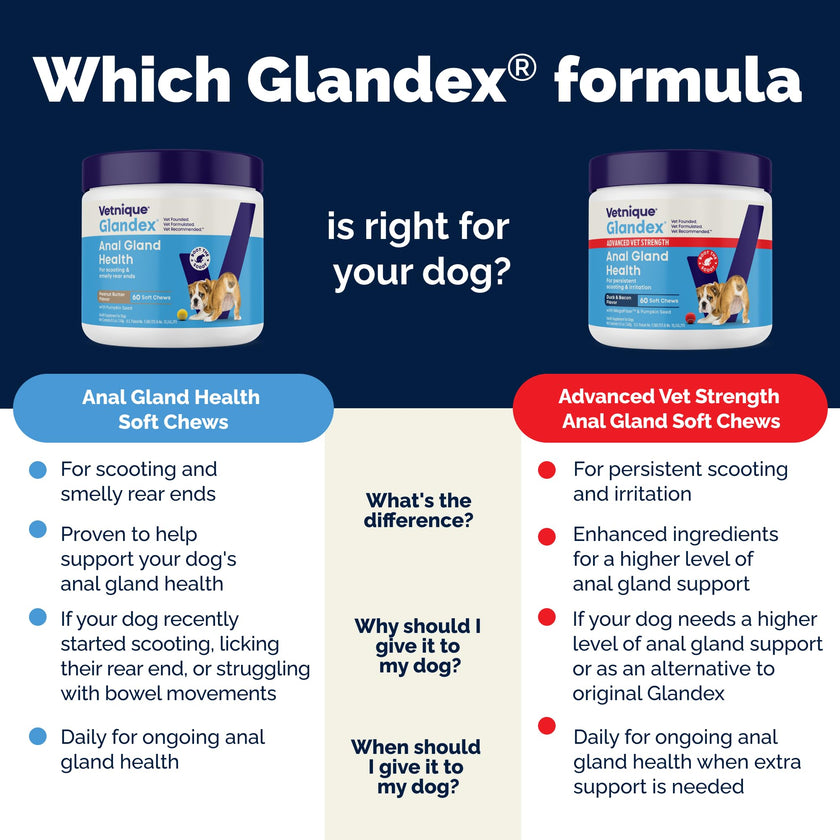 Vetnique Glandex Anal Gland Soft Chews for Dogs, Anal Gland Support, Boot The Scoot Fibre Supplement with Pumpkin, Unique Fiber Blend Probiotics & Digestive Enzymes (Peanut Butter, 60ct Chews) 🍁 All In One Marketplace Canada
