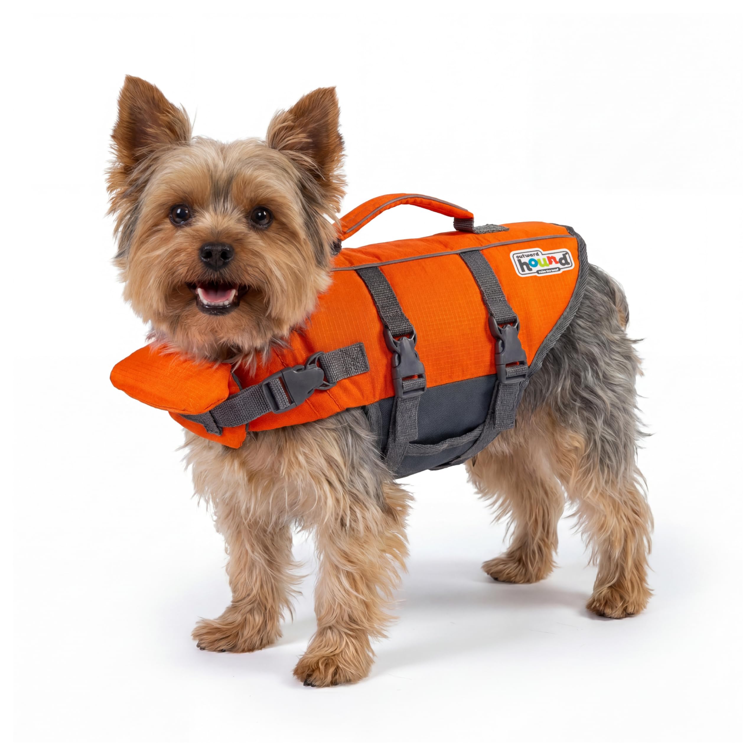 Outward Hound Granby Splash Dog Life Jacket with Handle, Reflective Floating Vest for Swimming & Boating, Maximum Buoyancy, All Skill Levels, Extra-Small Dogs & Puppies (11–15