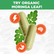 PlantVital Organic Moringa Leaf Capsules - Made in Canada - 1000mg High Potency (500mg per cap) Moringa Pure Capsules for Antioxidant, and Eye Health - Vegan, Non-GMO, Gluten Free (120 Count, 60 Days) 🍁 All In One Marketplace Canada