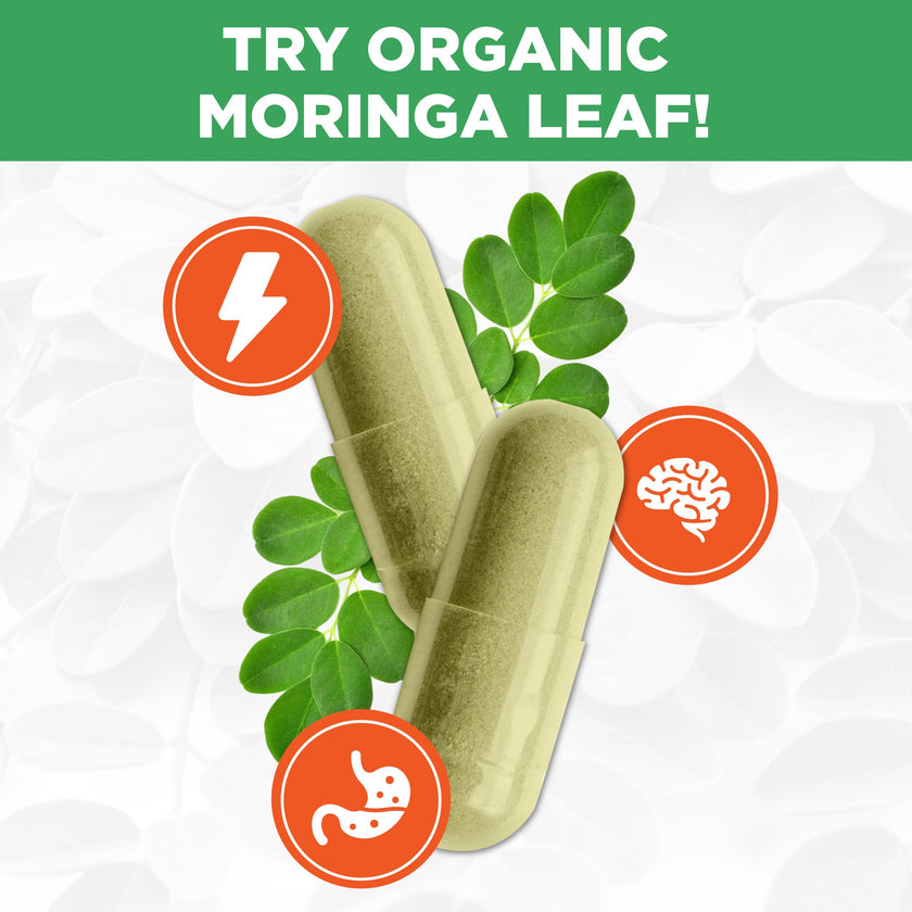 PlantVital Organic Moringa Leaf Capsules - Made in Canada - 1000mg High Potency (500mg per cap) Moringa Pure Capsules for Antioxidant, and Eye Health - Vegan, Non-GMO, Gluten Free (120 Count, 60 Days) 🍁 All In One Marketplace Canada