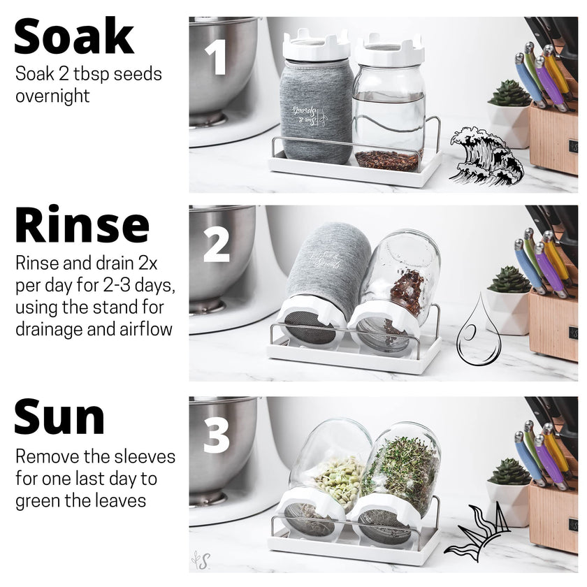 Sun & Sprouts The Original Complete Sprouting Kit - 2 Large Wide-Mouth Mason Jars, Premium Screen lids, Blackout Sleeves, Tray, Sprouter Stand - for Growing Broccoli, Mung Bean, Alfalfa from Seed 🍁 All In One Marketplace Canada