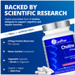 CanPrev Choline 275mg 90 Veggie Capsules, 90-Day Supply, VitaCholine for Cognitive Function, Memory & Focus, Vegan, Non-GMO, Gluten & Soy-Free, Supports Pregnancy, Liver & Heart Health, Made in Canada 🍁 All In One Marketplace Canada