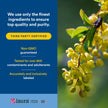 Natural Factors - WellBetX Berberine 500 mg, 120 capsules 🍁 All In One Marketplace Canada